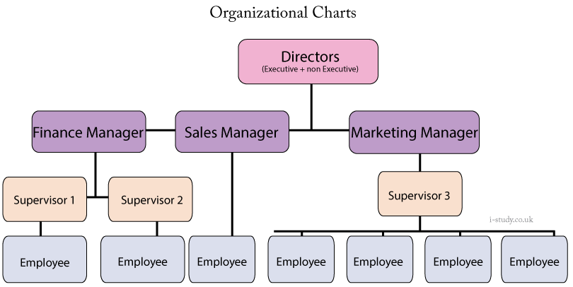 Organisational Structures IGCSE Business Studies