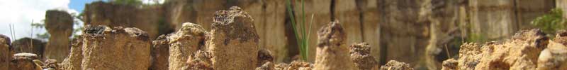 soil erosion image