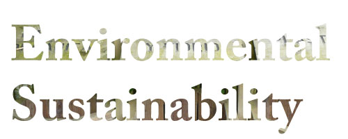 IB Geography Environmental Sustainability revision Guide