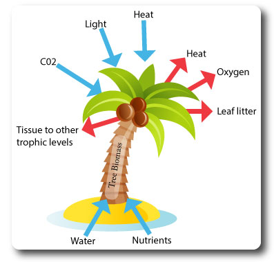 environmental systems