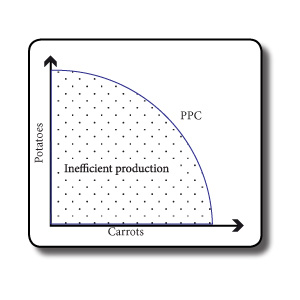 Production Possibility Curve