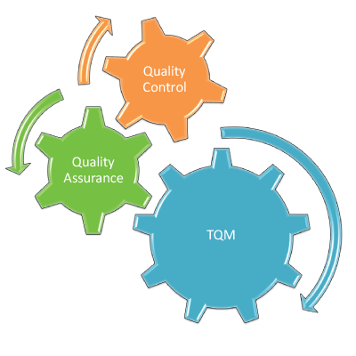 igcse business studies quality