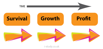 IGCSE business studies aims