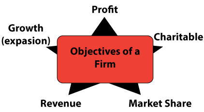 IGCSE business studies aims of a firm