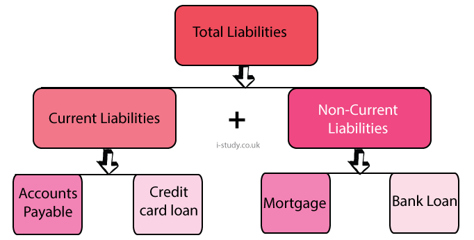 IGSE Business Studies Liabilities