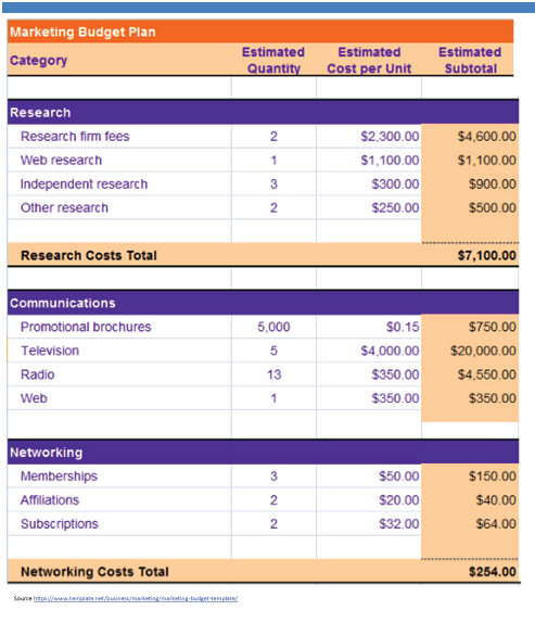 IGCSE Business Studies Marketing Budget