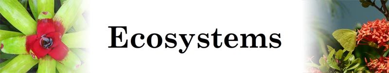 IGCSE geography ecosystems title