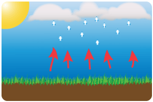 Cconvectional rainfall  