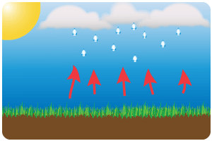 Convectional rainfall