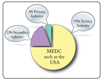 Developed country employment structure