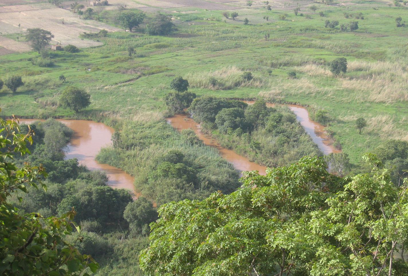 River floodplain