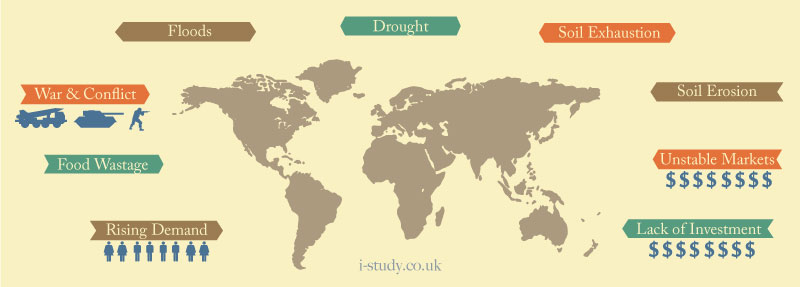 Causes of Food Shortages Diagram