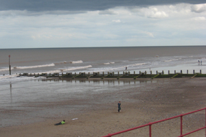 wooden groynes