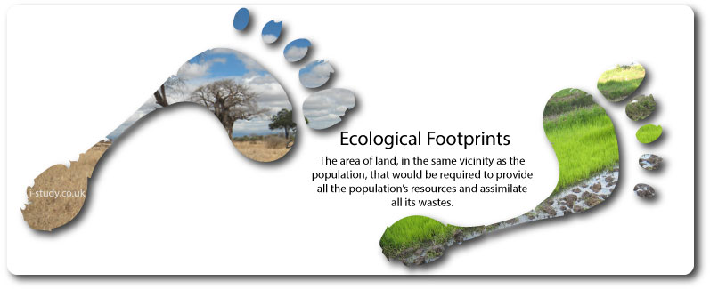 IB Geography Patterns in Resource Consumption