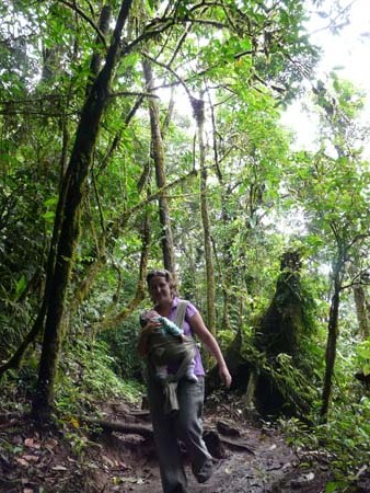 Rainforest_trekking